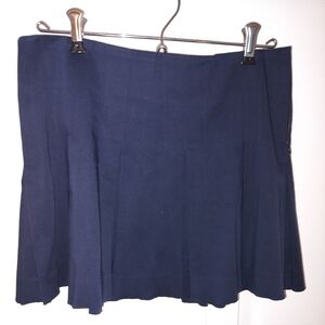 Theory Mini Skirt, Pleated Navy Blue, Size 2